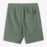 Bavaro Solid 19" Shorts