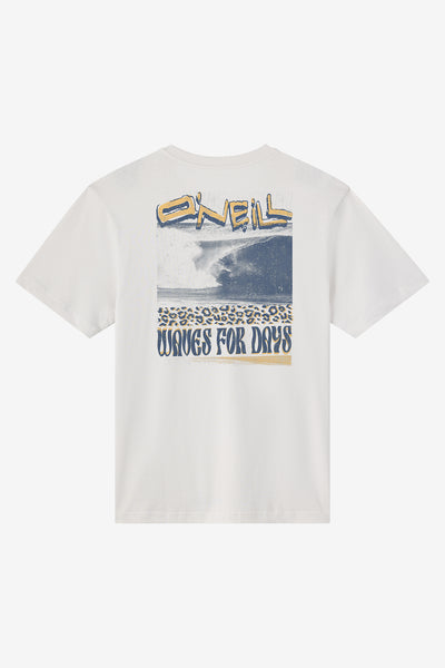 Bomb It Classic Tee - Ash | O'Neill
