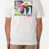 Coral Classic Tee - Tofu | O'Neill