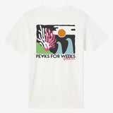 Coral Classic Tee - Tofu | O'Neill