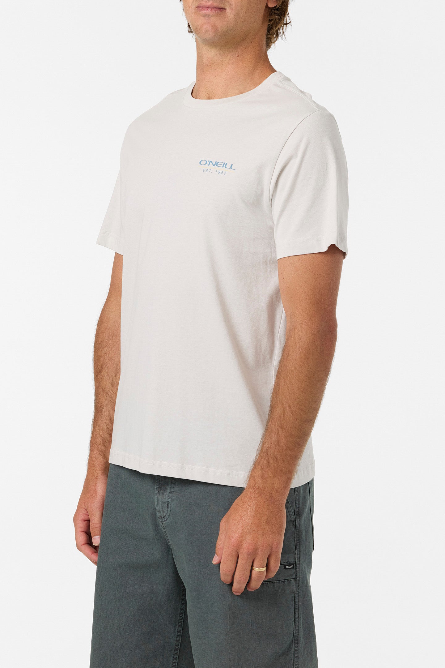 Liner Classic Tee Tee - Ash | O'Neill