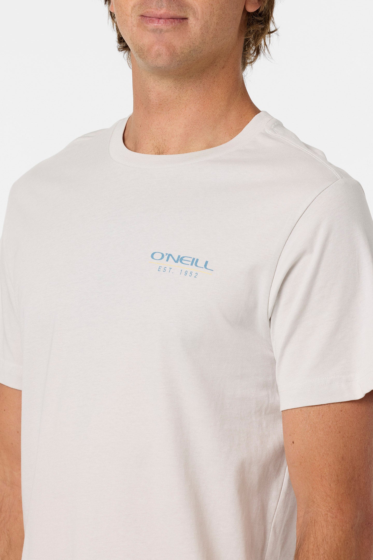 Liner Classic Tee Tee - Ash | O'Neill
