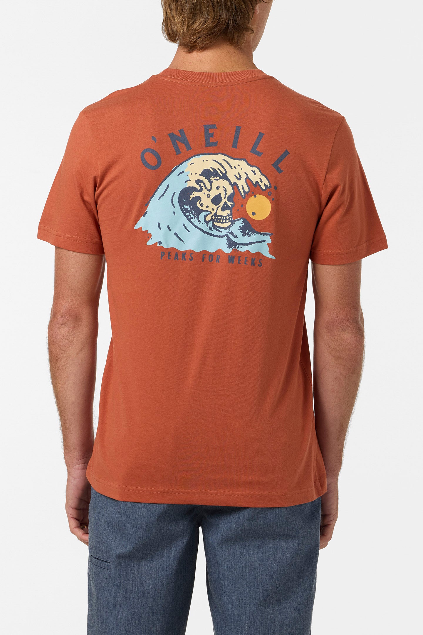 Sesh Classic Tee - Chutney | O'Neill