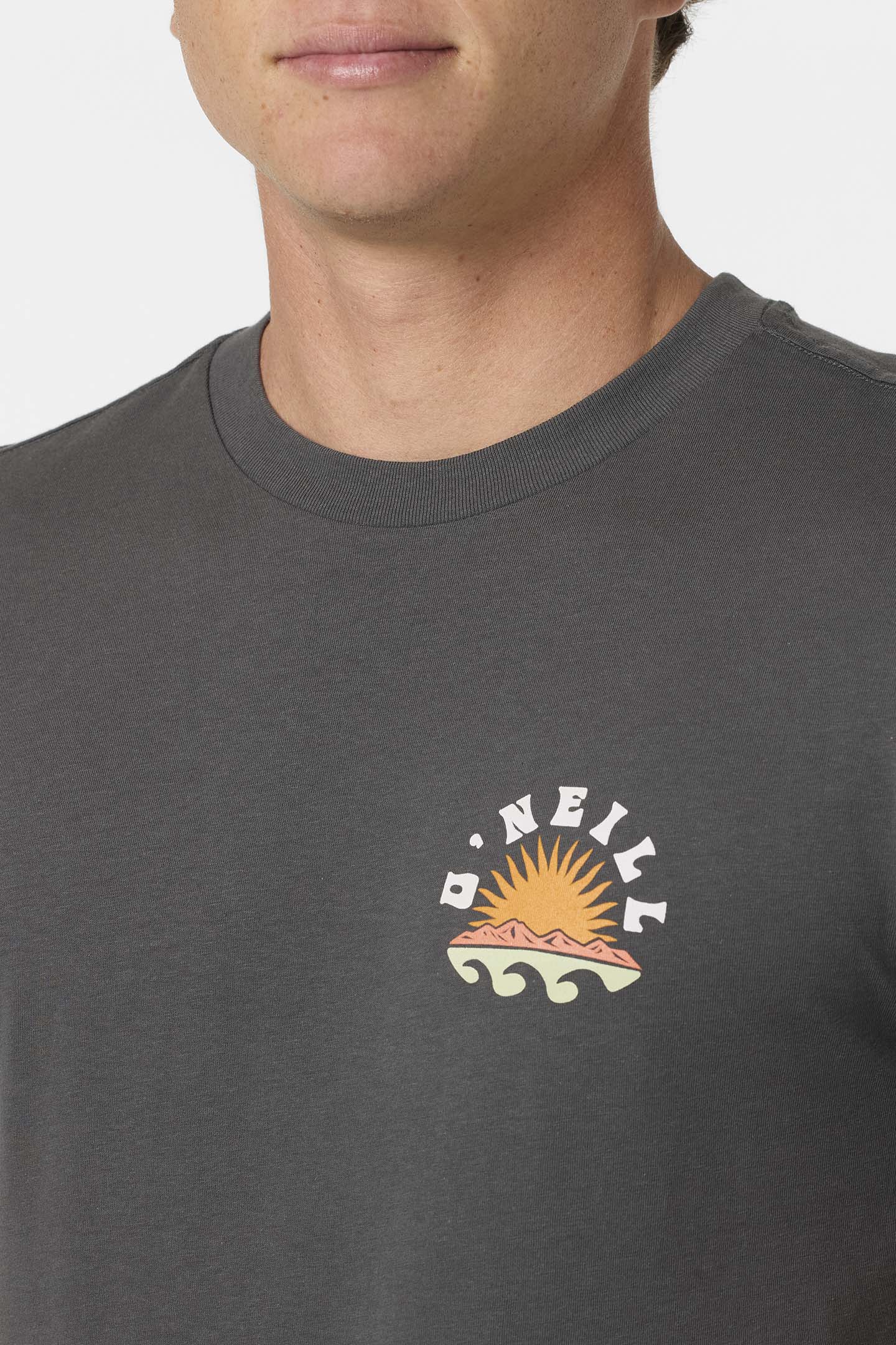 Solar Scenic Classic Tee - Dark Shadow | O'Neill