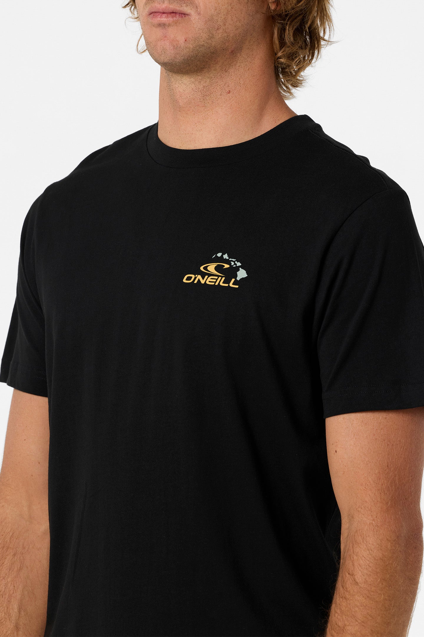 Square Up Hawaii Classic Tee - Black | O'Neill
