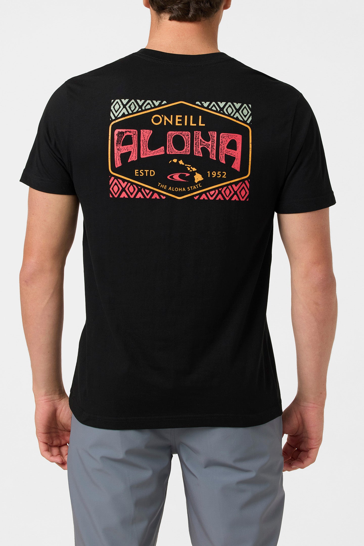 Aloha Hawaii Classic Tee - Black | O'Neill