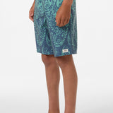 Boy's Lineup 16" Boardshorts