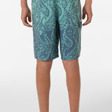 Boy's Lineup 16" Boardshorts