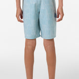 Boy's Lineup 16" Boardshorts