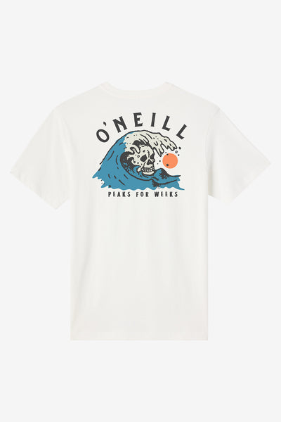 Boy's Sesh Tee - Tofu | O'Neill