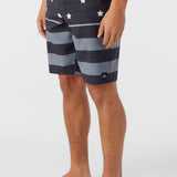 Lennox Flag 20" Boardshorts