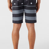 Lennox Flag 20" Boardshorts