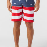 Lennox Flag 20" Boardshorts