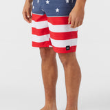 Lennox Flag 20" Boardshorts