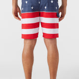 Lennox Flag 20" Boardshorts