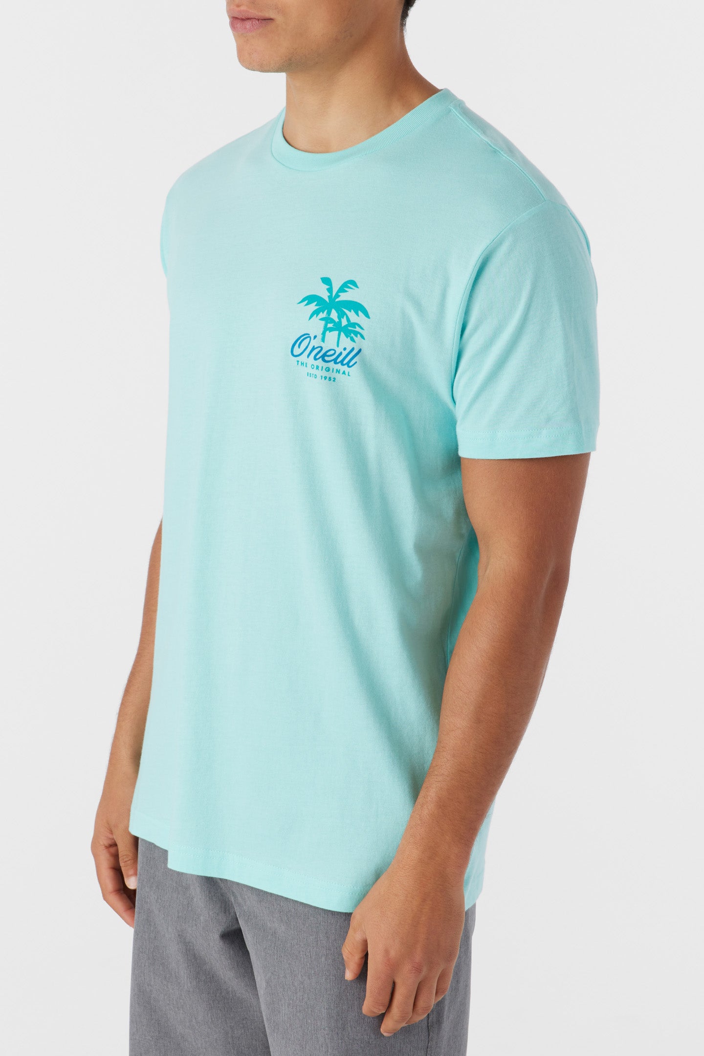 Resort Standard Fit Tee - Turquoise | O'Neill