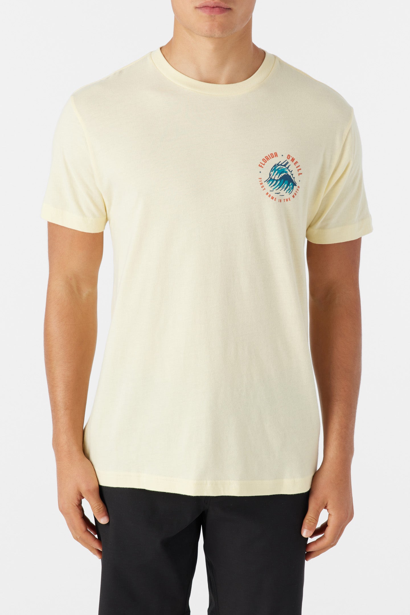 THE SUNSHINE SEAL TEE