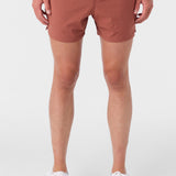 Perform Lined 15" Athletic Shorts