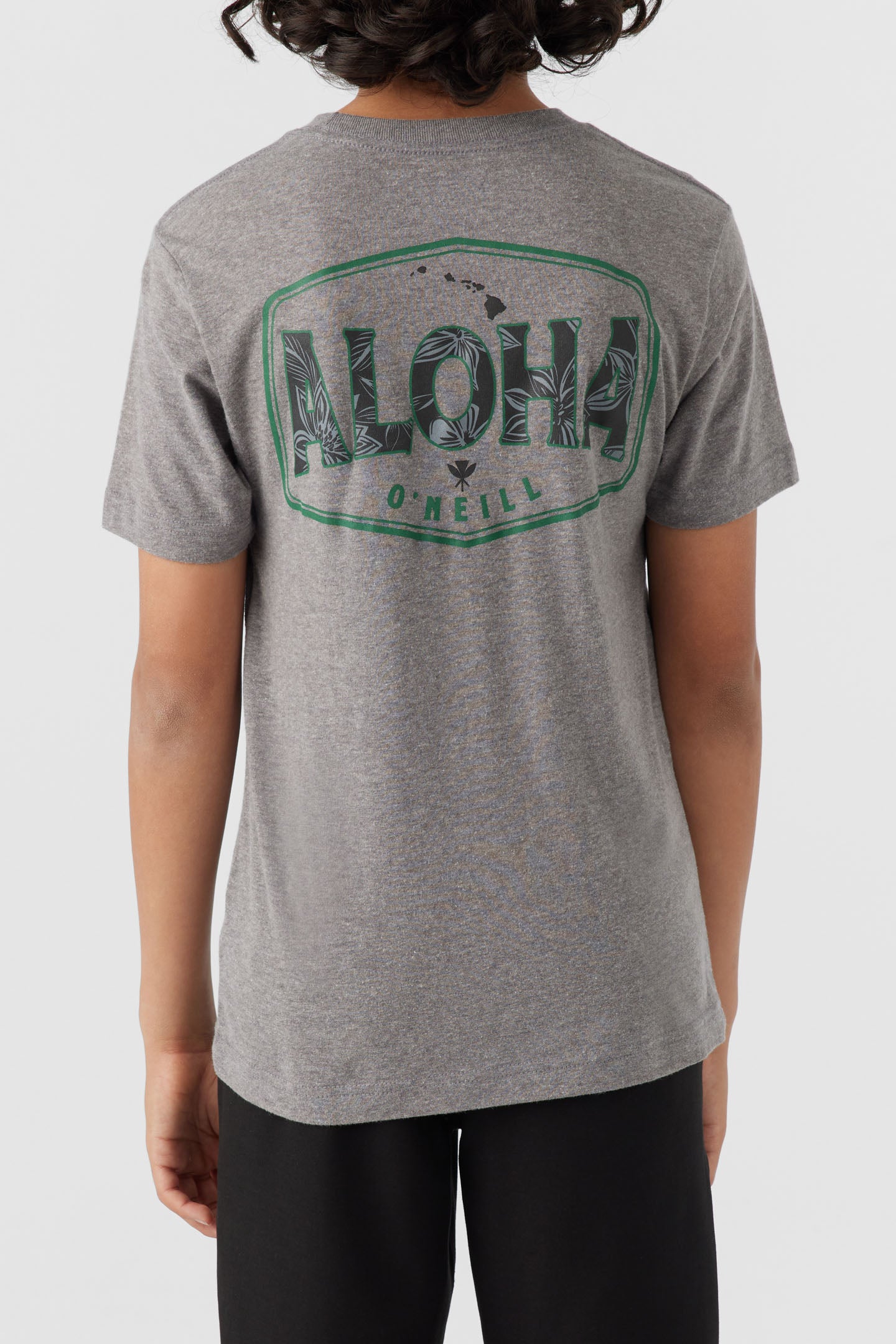 BOY'S BIG ALOHA TEE