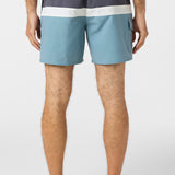O'Riginals Horizon Volley 16" Swim Trunks