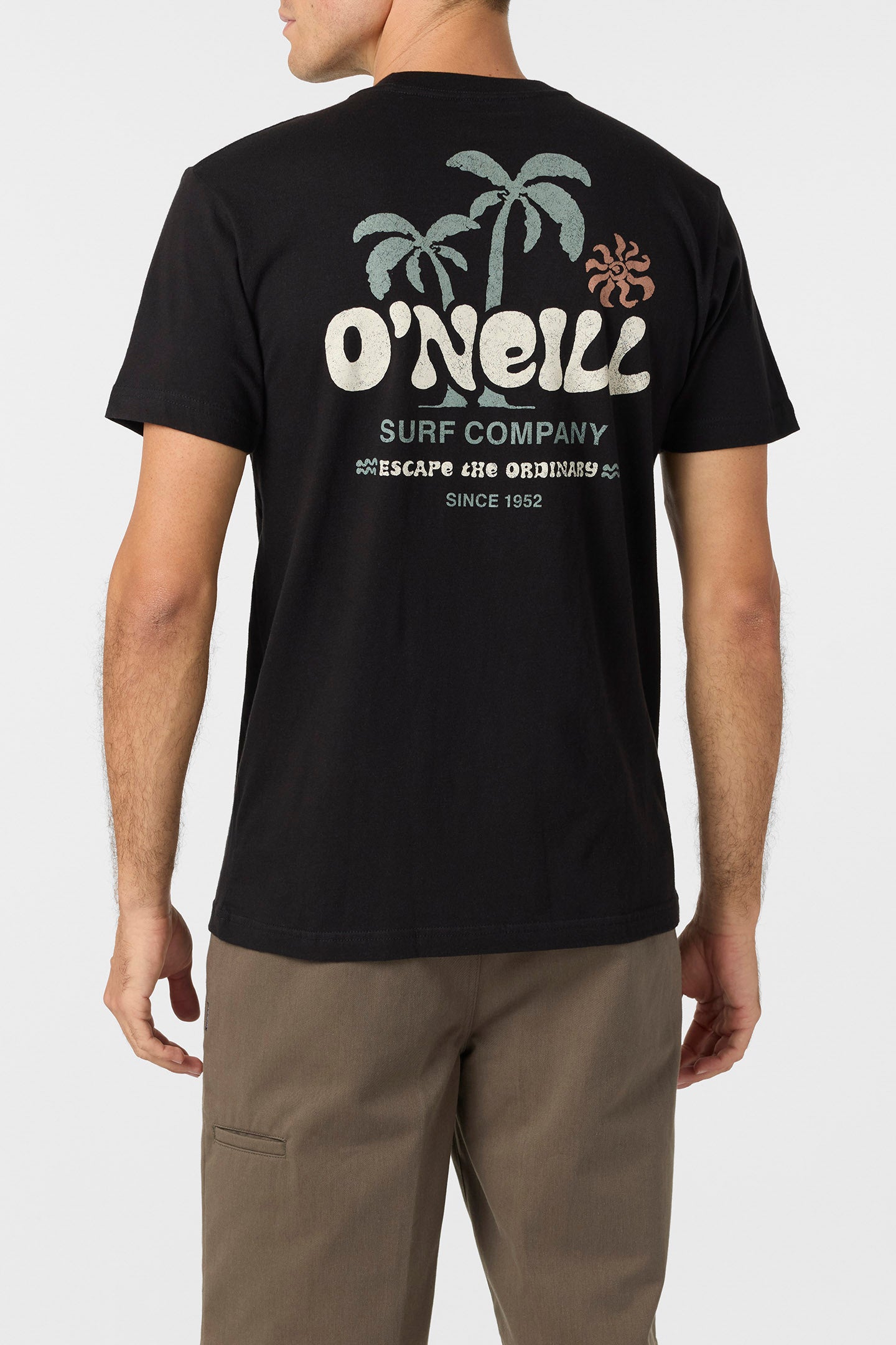 Loose Standard Fit Tee - Black | O'Neill
