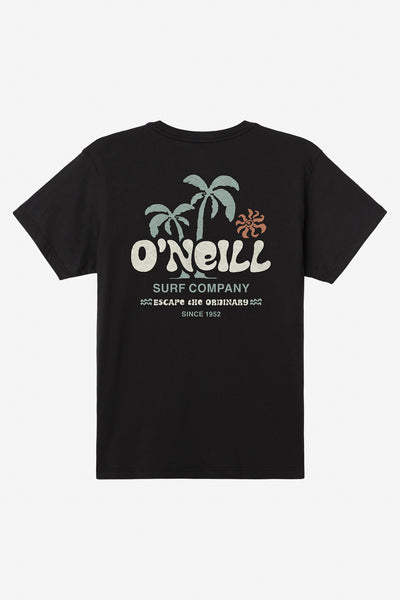 Loose Standard Fit Tee - Black | O'Neill