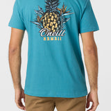 Pineapples & Birds Standard Fit Tee