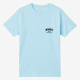 Boy's Always Sunny Tee