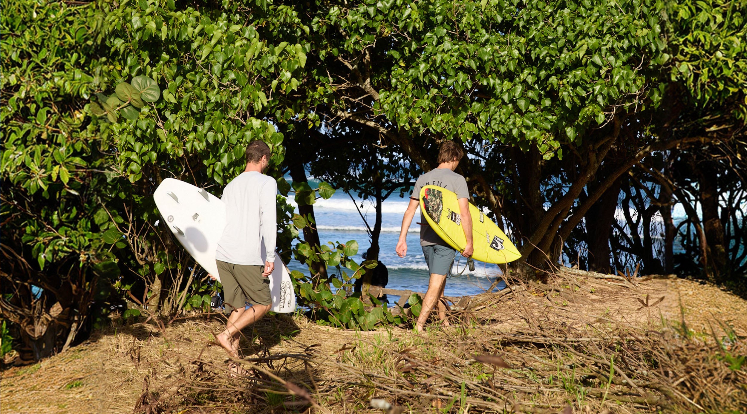 Two people walking along a path with surfboards under a tree by the ocean.