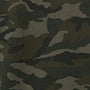 CAMO 2