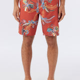Cruzer 19" Boardshorts