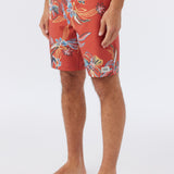 Cruzer 19" Boardshorts