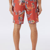 Cruzer 19" Boardshorts