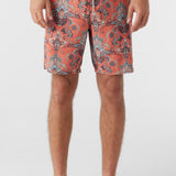 Cruzer 19" Boardshorts