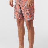 Cruzer 19" Boardshorts