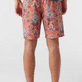 Cruzer 19" Boardshorts
