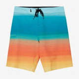 Hyperfreak Variety 20" Boardshorts