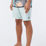 Hyperfreak Variety 20" Boardshorts