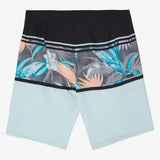 Hyperfreak Variety 20" Boardshorts