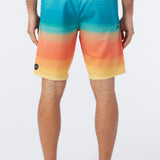 Hyperfreak Variety 20" Boardshorts
