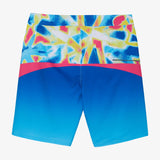 Hyperfreak 20" Boardshorts