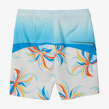Hyperfreak 20" Boardshorts