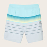 Boy's Hyperfreak Heist 17" Boardshorts