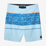 Hyperfreak Hydro Wanderer 20'' Boardshorts