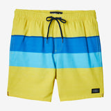 Hermosa Volley 17" Boardshorts