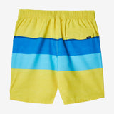 Hermosa Volley 17" Boardshorts