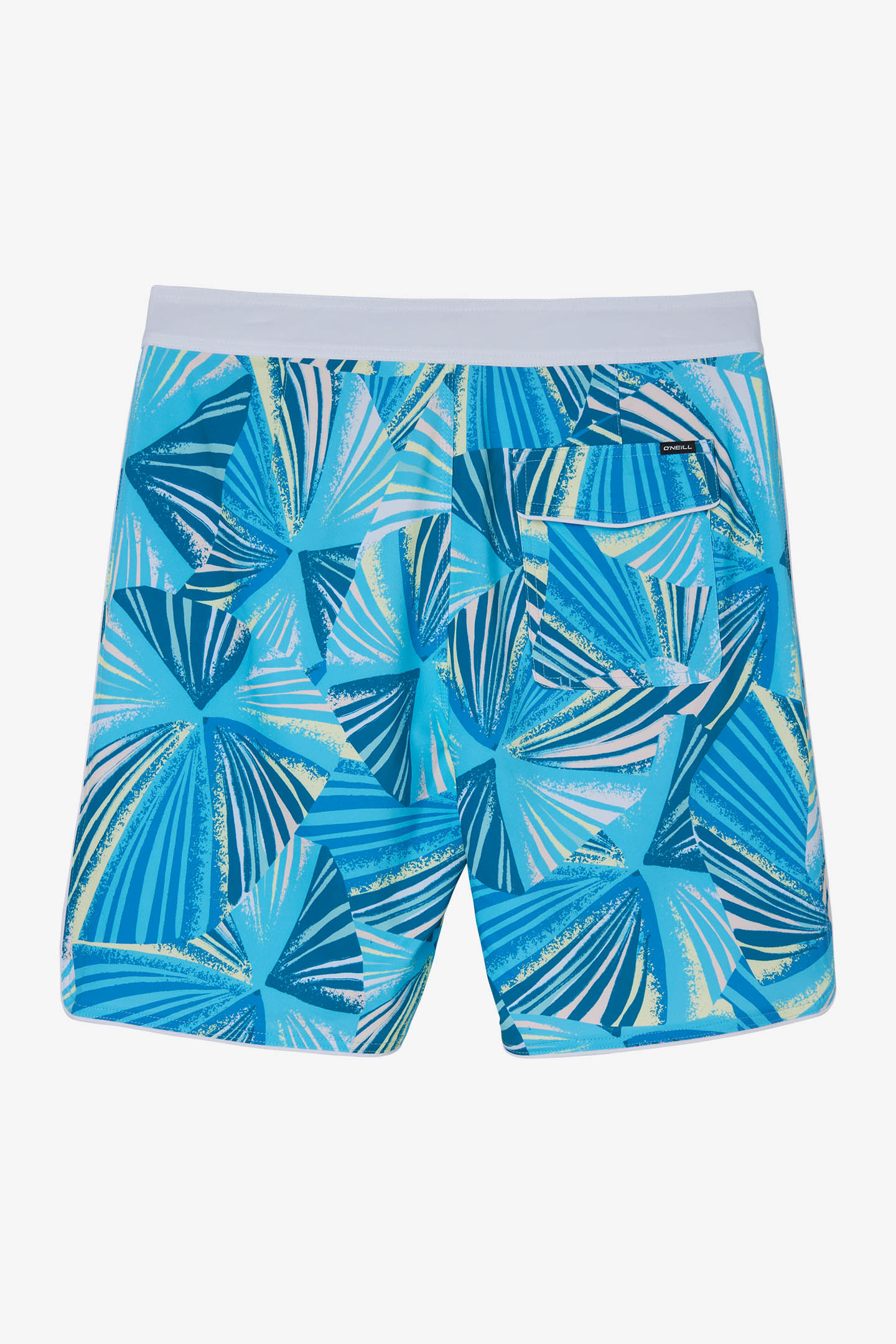 HYPERFREAK MYSTO SCALLOP 19" BOARDSHORTS