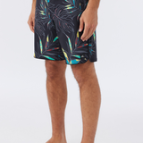 Hyperfreak Mysto Scallop 19" Boardshorts