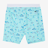 Hyperfreak Mysto 20" Boardshorts