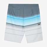 Hyperfreak Heat Stripe 21" Boardshorts